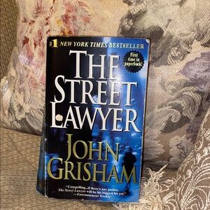 💙🩶💙EUC The Street Lawyer by John Grisham
